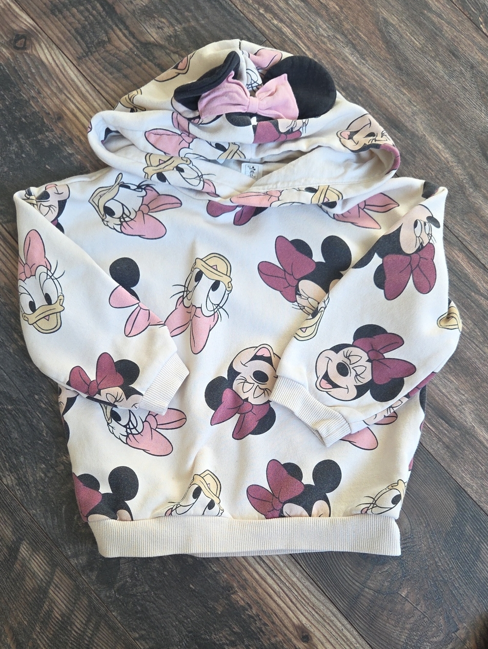 Disney Hoodie